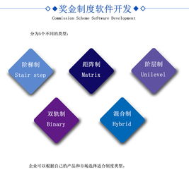 直銷軟件開發的全面解析